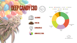 DEEP CANDY CBD ANALITICA