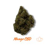 Mango Haze CBD – Flores Premium con Aroma Tropical Intenso