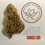 Cookies CBD – Glasshouse, Living Soil