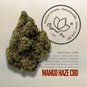 Mango Haze CBD