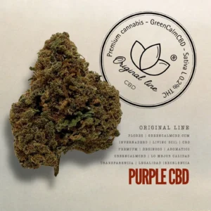 Purple CBD
