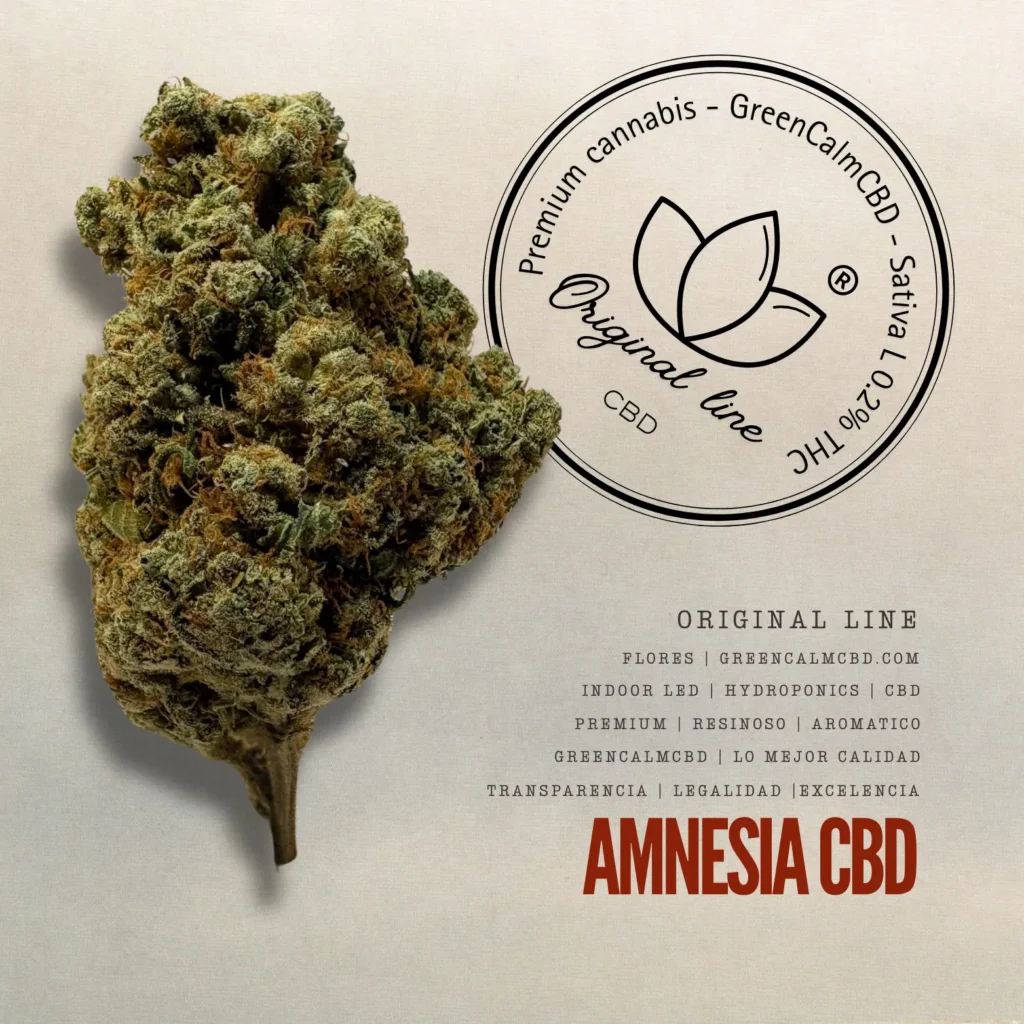 Amnesia CBD