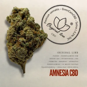 Amnesia CBD