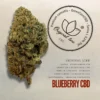 Blueberry CBD – Indoor Led, Hydroponics