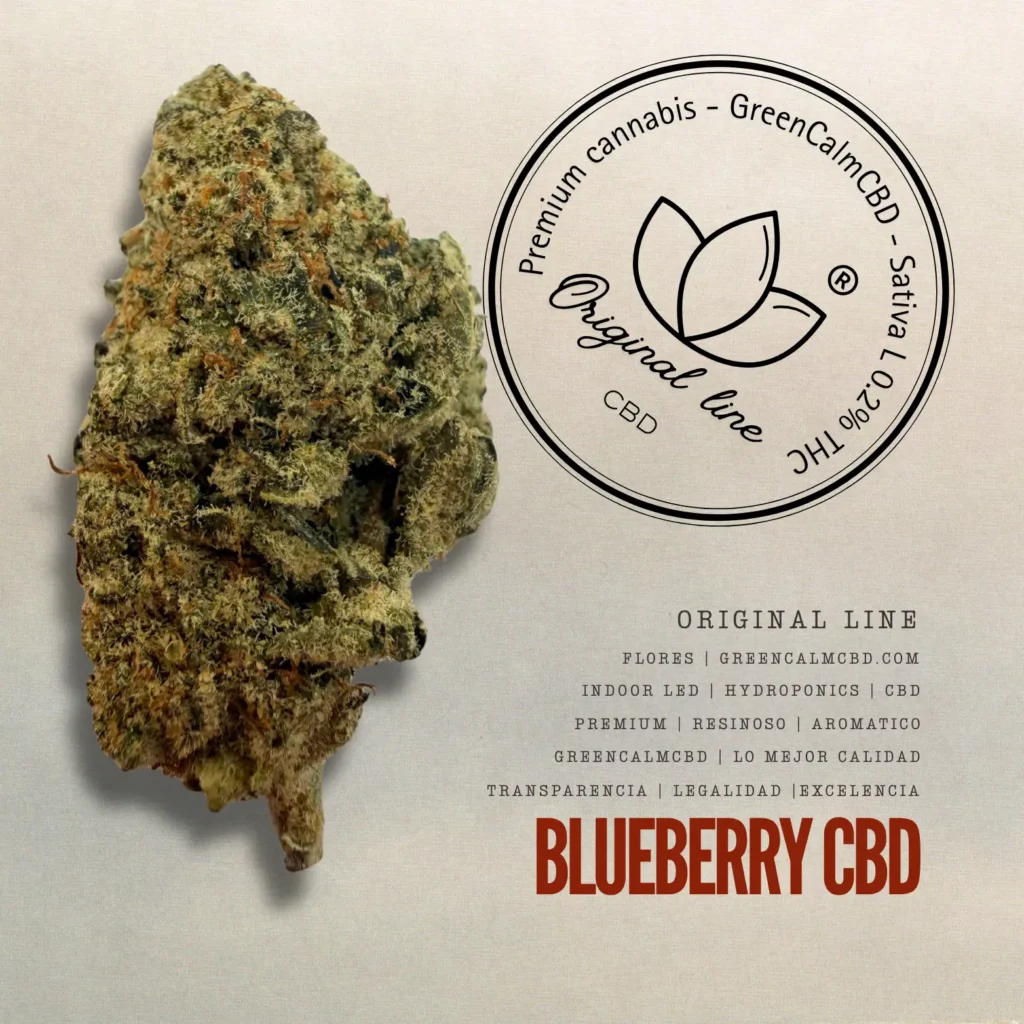 Blueberry CBD