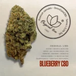 Blueberry CBD – Indoor Led, Hydroponics