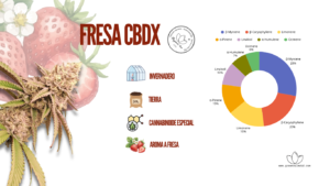 FRESA CBDX ANALITICA