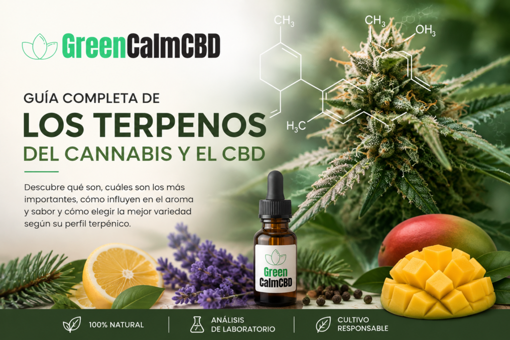 Guía completa de los terpenos del cannabis y las flores de CBD