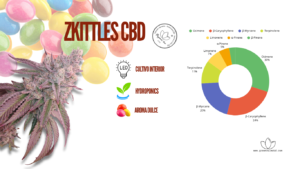 SKITLES CBD ANALITICA