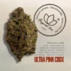 Ultra Pink CBDX -Glasshouse, Hydroponics